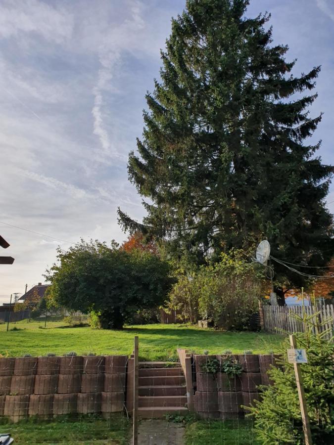 Nationalpark Ferienhaus Sophia-Luisa Borfink Bagian luar foto