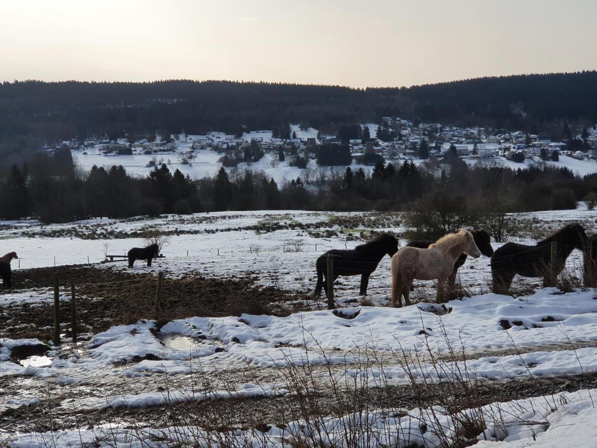 Nationalpark Ferienhaus Sophia-Luisa Borfink Bagian luar foto